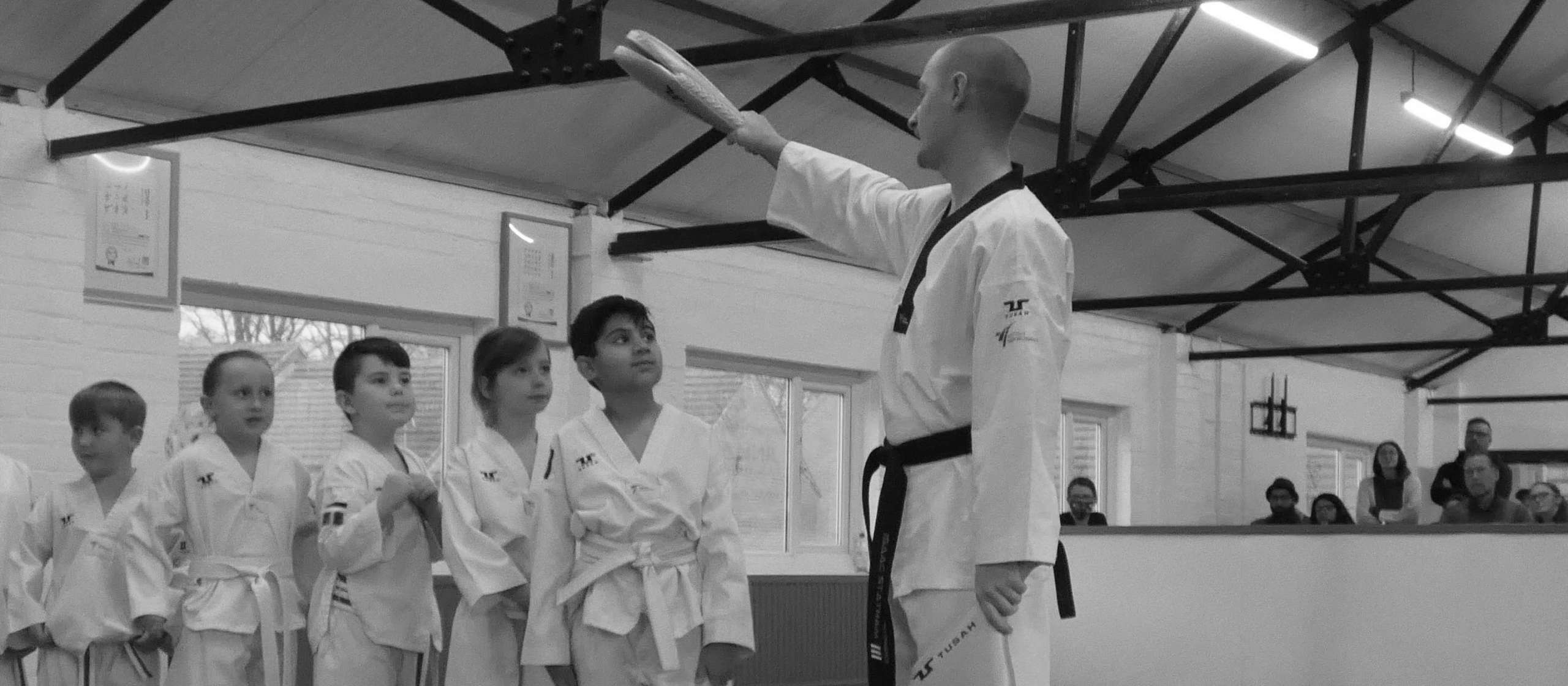 little-dans-jinhaeng-taekwondo-nottingham-martial-arts